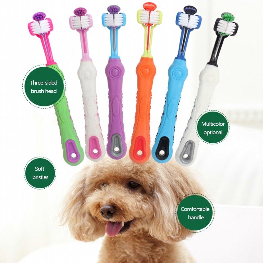 Cepillo De Dientes De Tres Cabezas Pet
