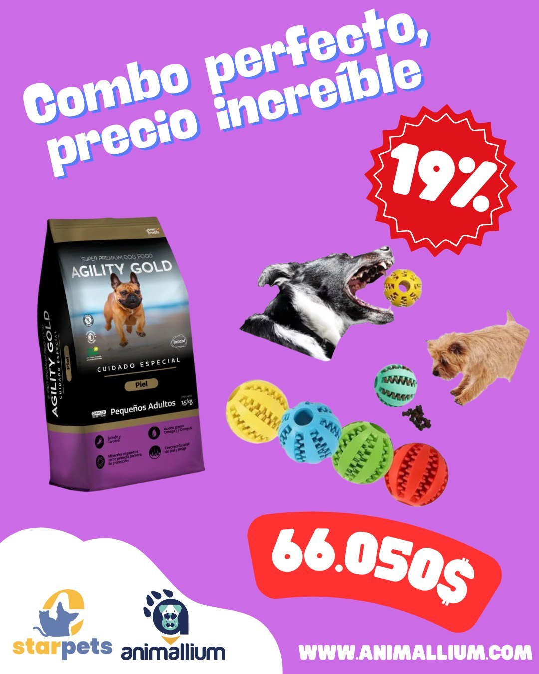 Juguete Interactivo Para Mascotas Pelota Porta Snacks + AGLILITY GOLD PEQUEÑOS ADULTOS-PREMIUM PAQUETE DE 1,5KG